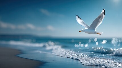 Seagull in Flight Above Foamy Waves under a Bright Blue Sky With Cinematic Lighting and a Coastal Scene Landscape