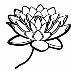Elegant black and white line art illustration of a blooming water lily flower with a long stem isolated on a white background