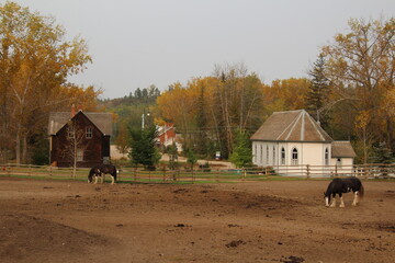 horse and barn
