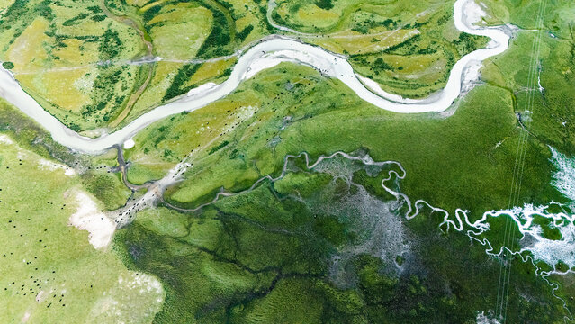 aerial view of river in wetland