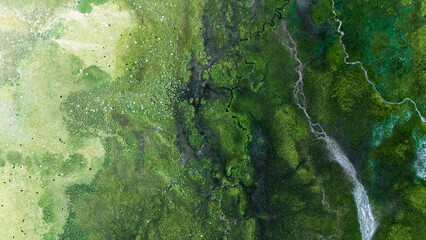 green grunge background