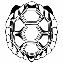 Obraz premium Stylized black and white illustration of a turtle shell viewed from above with a clean white background and bold outlines