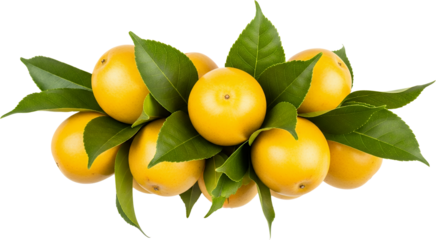 A cluster of ripe yellow citrus fruits with vibrant green leaves isolate orange lemon lime food fresh