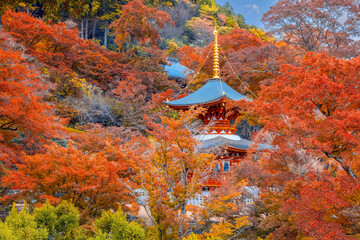Katsuoji Temple with beautiful foliage in autumn in Kyoto, Japan