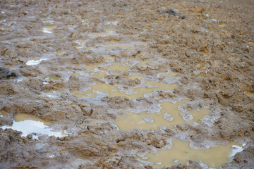 Wet ground with puddles after recent rain in rural area
