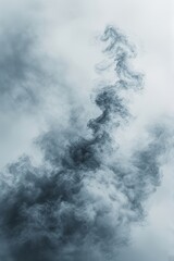 Obraz premium Dark, swirling smoke rises against a pale gray sky, creating a moody and atmospheric abstract pattern.