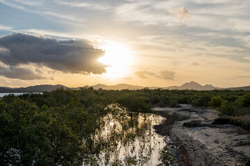 A calm seascape at golden hour, featuring a sailboat at the center of the frame. The foreground consists of dry, reedy grasses, while a line of dark hills creates a tranquil backdrop under a soft.
