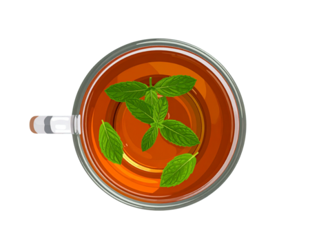 Minimalist Herbal Tea Beverage PNG