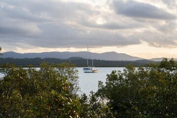
A serene seascape shows a white sailboat anchored in a bay under a cloudy sky. The foreground has leafy green plants, and distant, misty hills line the horizon.