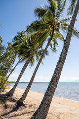 Cardwell Beach, protected by Hinchinbrook Island and is usually calm, Queensland, Australia.