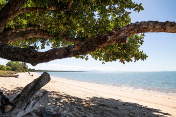 A bright, sunny beach scene with a large, gnarled tree branch reaching across the top of the frame. The sandy shore curves along the calm, sun-dappled water toward distant misty mountains.