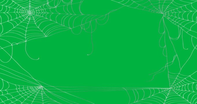 graphic designer placing spider web frame on transparent background, showing corner web loops