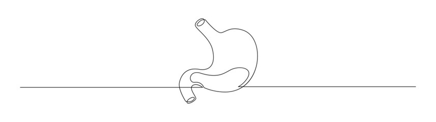 Human Stomach One Line Drawing Illustration