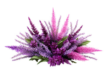 Beautiful cluster of purple and pink astilbe flowers isolated on transparent background. Vibrant bouquet of purple lavender flowers isolated on white background.
