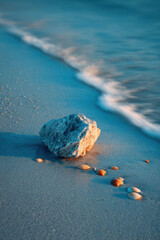 flat stone rests on damp sand complemented by tiny seashells scattered along shore