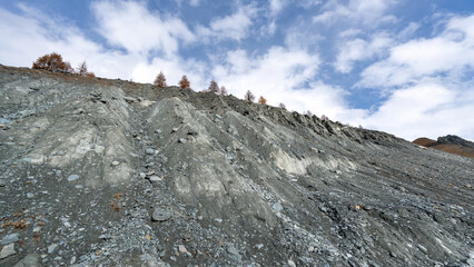 Imposing glacial moraine in the hiking area of ​​Zermatt with its yellow conifers. Beautiful...
