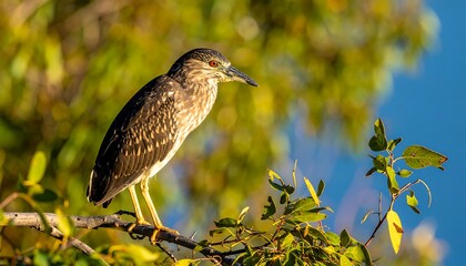 Bird perched on branch (2)