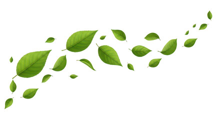 Green leaves flowing in the wind isolated on transparent background