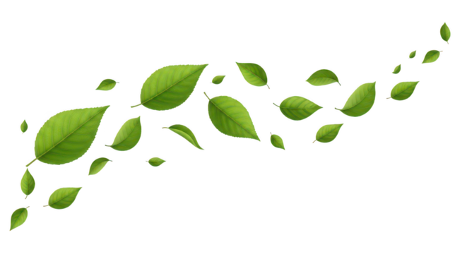 Green leaves flowing in the wind isolated on transparent background - Powered by Adobe
