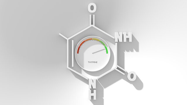 Chemical structural formula of thymine- DNA and RNA nitrogen base. Meter with level scale. Concept of medicine and pharmacy. 3D render