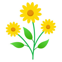 Fototapeta premium Yellow daisy like flowers with green leaf vector on white background.
