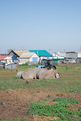 Obraz premium farming in the village after harvesting from the fields