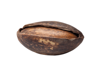 Single whole walnut isolated on transparent background. Close up of almond isolated on white background.