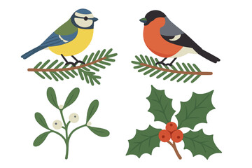 Set of Christmas winter birds illustration. Blue tit and bullfinch on fir branch. Festive holiday vector elements with holly berry and mistletoe. Nature clipart collection.