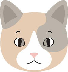 Beige and Gray Cat Face