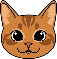 Orange Tabby Cat Face with Stripes