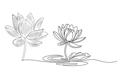 Line art  water lily drawing, One line Continuous water lily art, Hand drawn floral design.