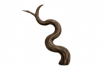 Gnarled wood trunk branch twisting and curving, organic serpentine shape, plant nature element with transparent background