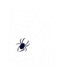 Hand-Drawn Spider Web and Arachnid Illustrations