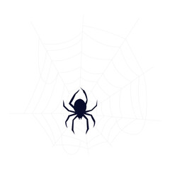 Hand-Drawn Spider Web and Arachnid Illustrations