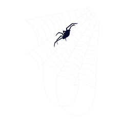 Hand-Drawn Spider Web and Arachnid Illustrations