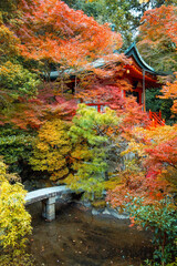 Bishamondo Temple with beautiful foliage in autumn in Kyoto, Japan