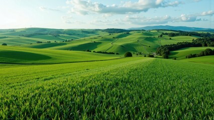 Lush green rolling hills and fields under a bright sky with clouds