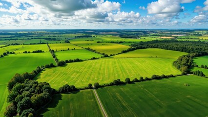 Obraz premium Vast green agricultural fields under a cloudy blue sky aerial view