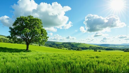 Lone green tree stands on a rolling grassy hill under a bright blue sky with fluffy clouds