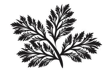 Naklejka premium Black Leaf Silhouette with Intricate Foliage Details on White Background