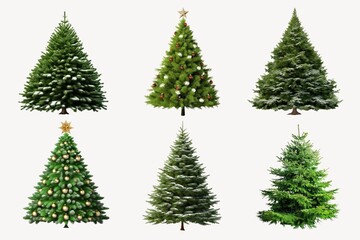 Christmas tree design element set