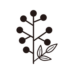 南天のイラスト（線・小）