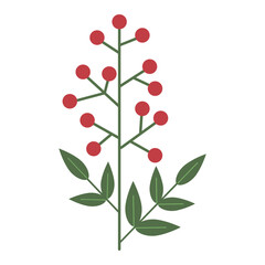 南天のイラスト（塗り・大）