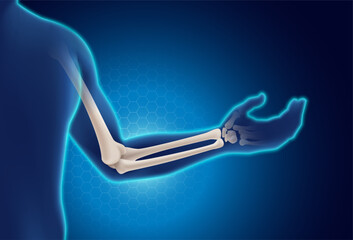 3D human arm skeleton showing elbow joint, radius and ulna bones on a glowing blue medical background. Suitable for healthcare, anatomy, and medical education content. Vector illustration.
