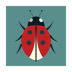 Ladybug red