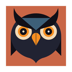 Owl face