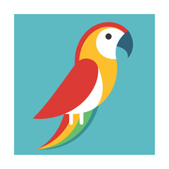 Colorful parrot bird