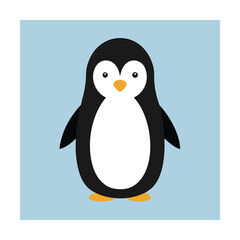Penguin animal