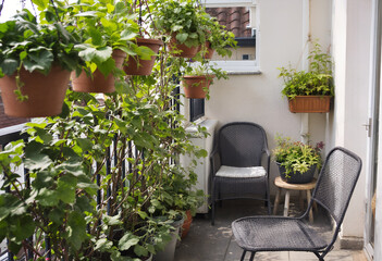 Serene Balcony Garden Oasis with Hanging Plants and Seating