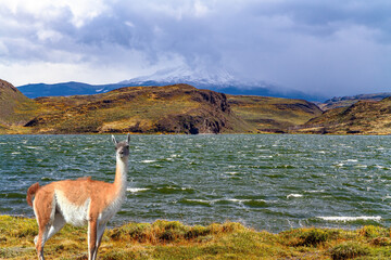 Naklejka premium Laguna Las Mellizas